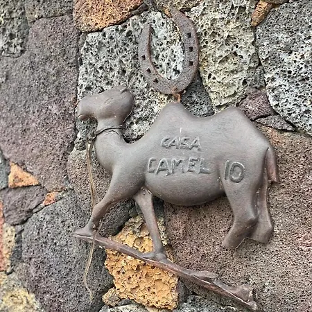 Casa Camelio Macher