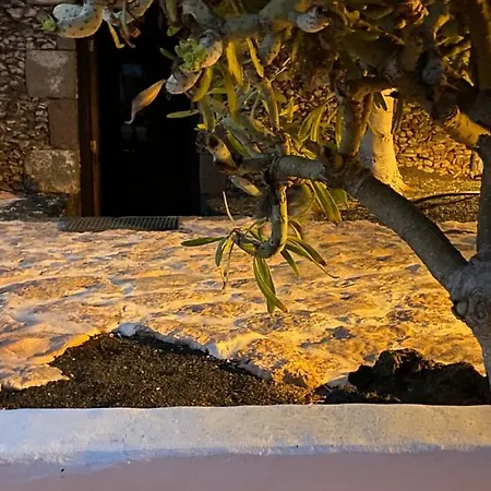Apartamento Casa Camelio Mácher